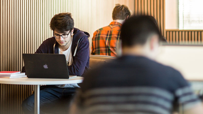 Student working on laptop